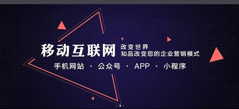 平阳坑手机网站